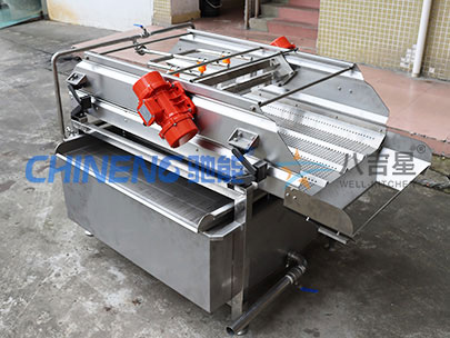 大型果蔬涡流清洗线实拍图