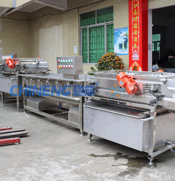 大型果蔬涡流清洗线实拍图