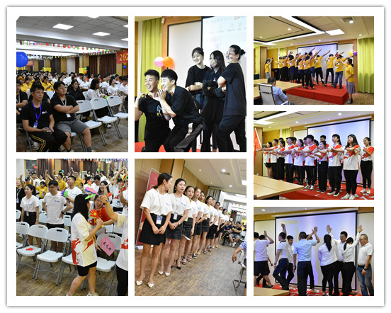 公司团队 公司团队