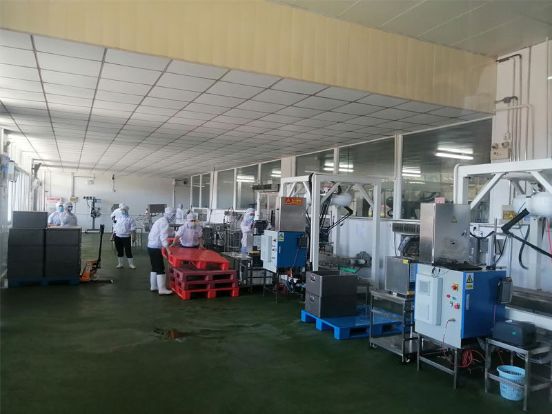 中央ky登录工程