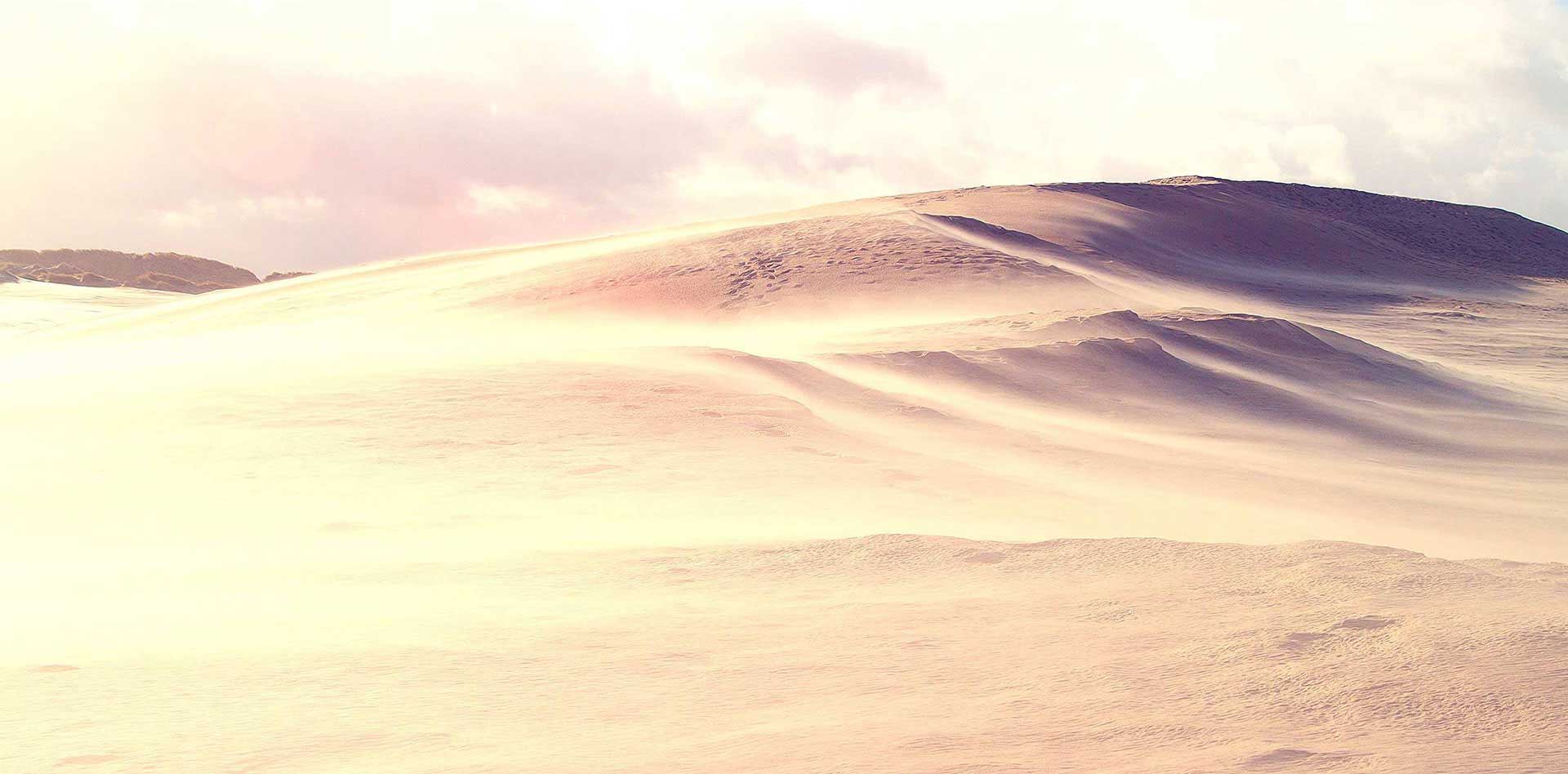 公司食堂ky登录工程